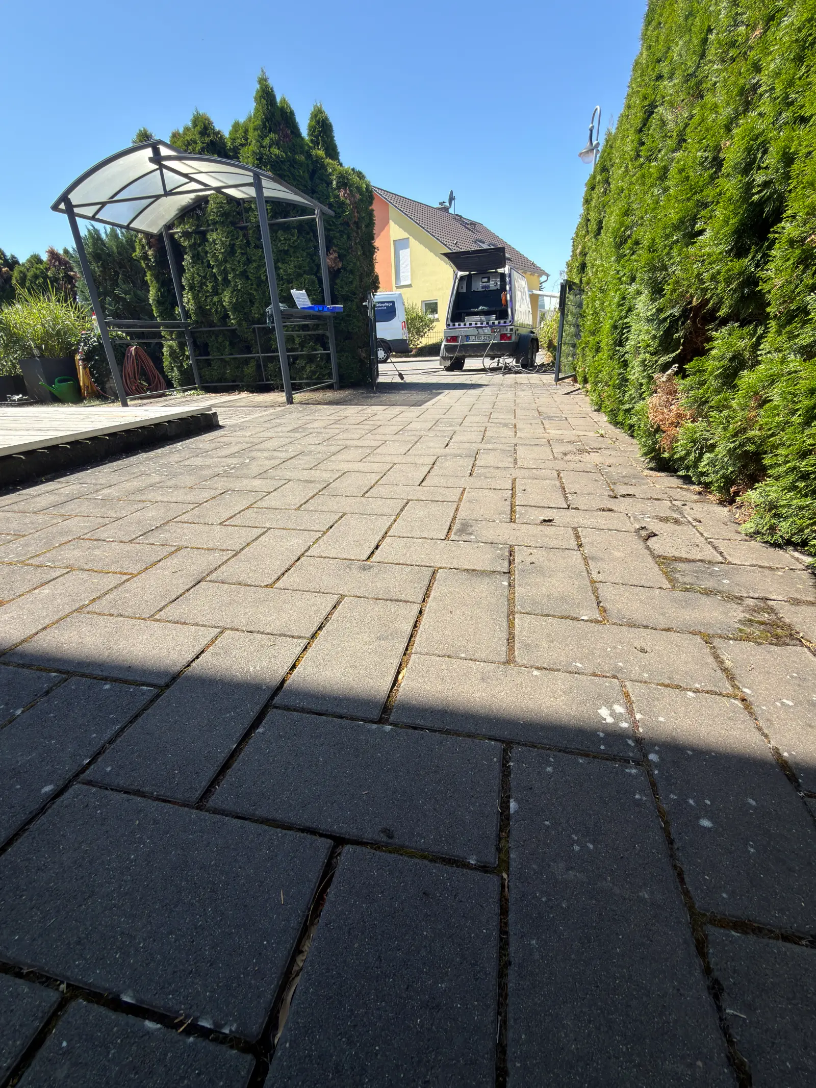 Pflasterreinigung Weg an der Hecke vorher mit Moos Rhein-Main RELTRO